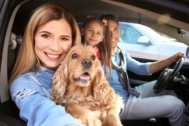 Car A/C check for driving with pet Harrodsburg, KY